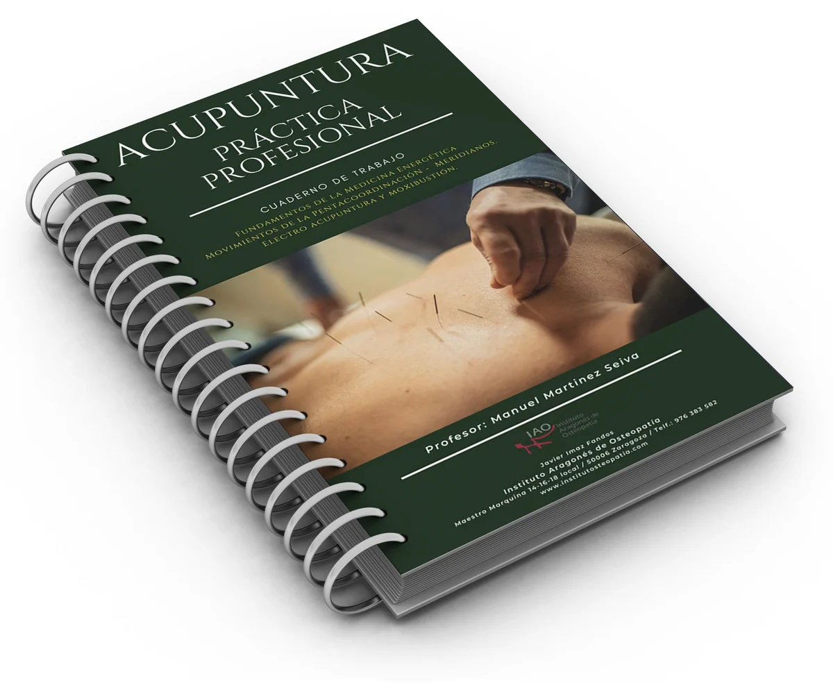 Cuaderno de trabajo de Acupuntura Profesional