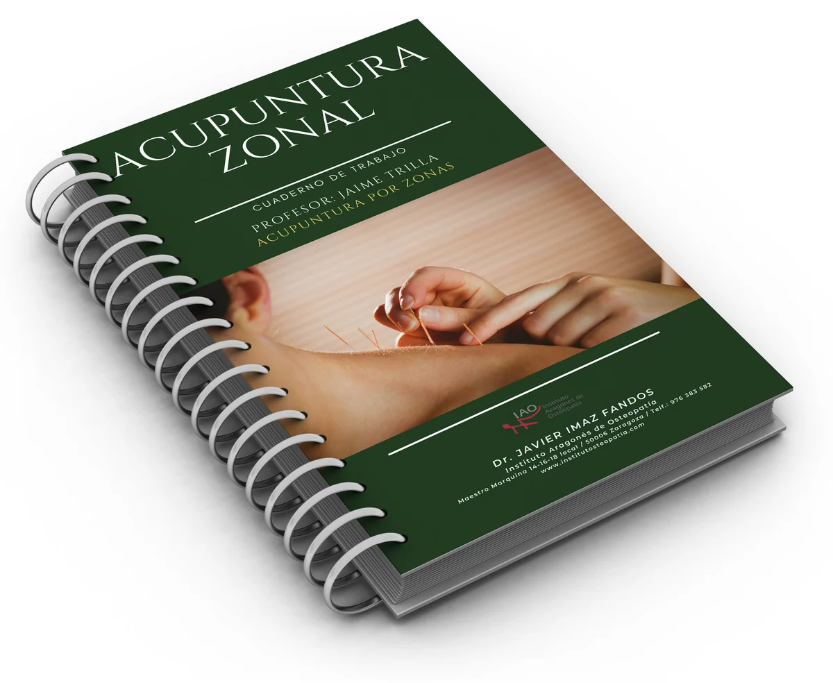 Cuaderno de trabajo de Acupuntura Zonal