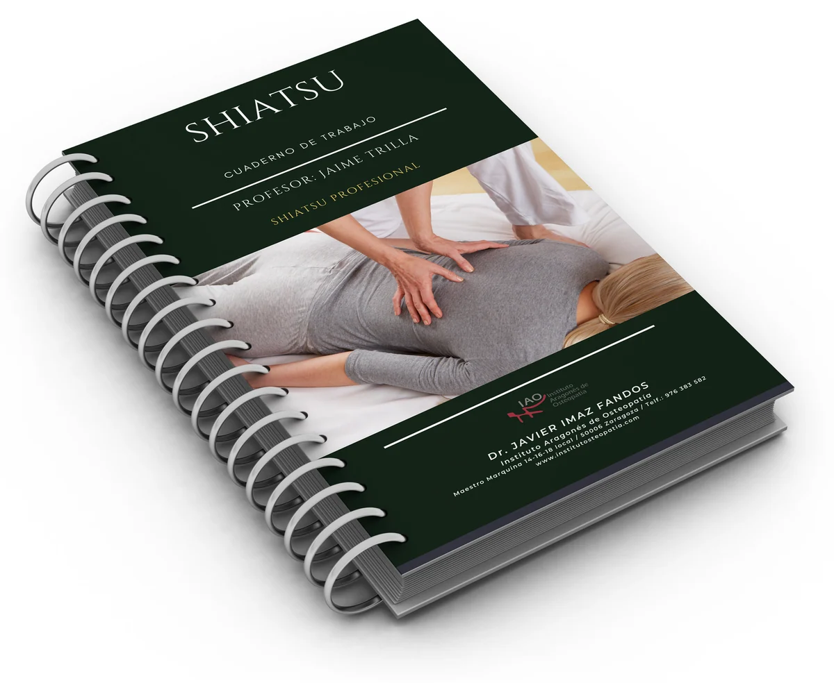 Cuaderno de trabajo de Shiatsu Profesional
