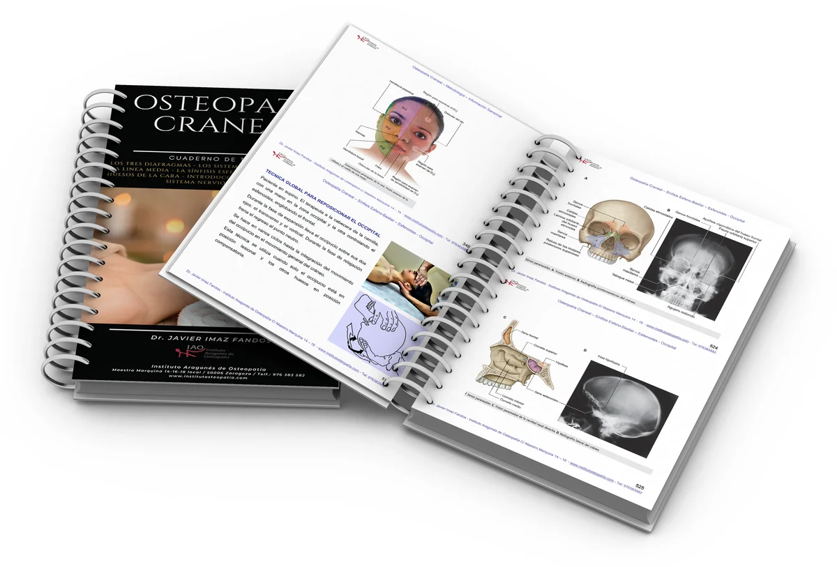 Cuaderno práctico abierto de Osteopatía Craneal