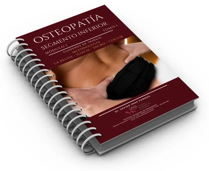 Cuaderno Estructural I de pelvis, ilíaco, sacro y cóccix