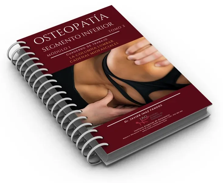 Cuaderno Estructural I de columna lumbar
