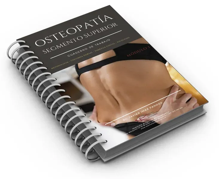Cuaderno Estructural II de columna dorsal y parrilla costal