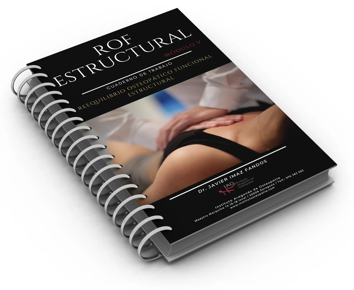 Cuaderno de trabajo ROF Estructural