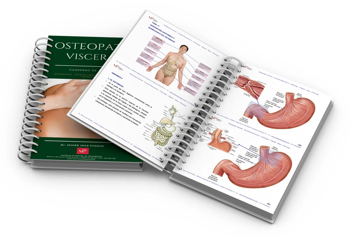 Cuaderno práctico abierto de Osteopatía Visceral